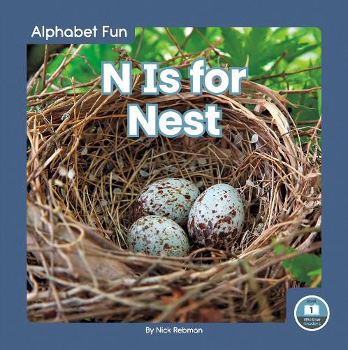 Cover image for Alphabet Fun: N is for Nest