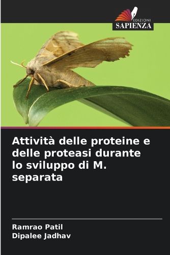 Cover image for Attivita delle proteine e delle proteasi durante lo sviluppo di M. separata