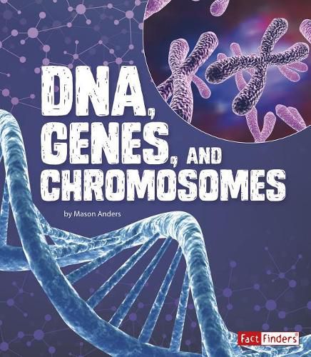 Cover image for DNA, Genes, and Chromosomes