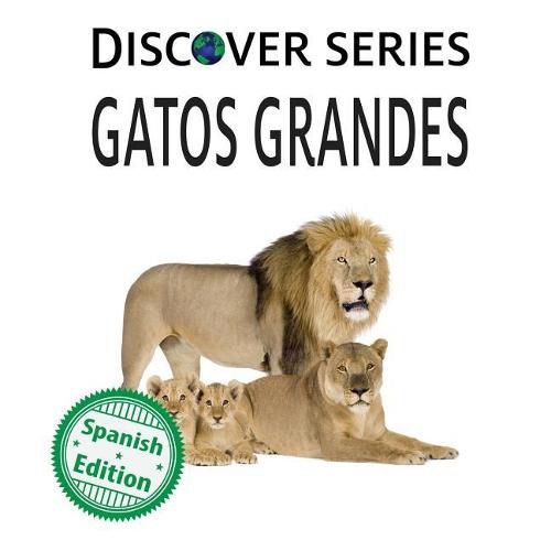 Cover image for Gatos Grandes