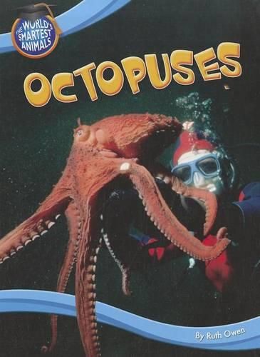 Cover image for Octopuses