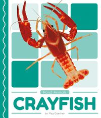 Cover image for Pond Animals: Crayfish