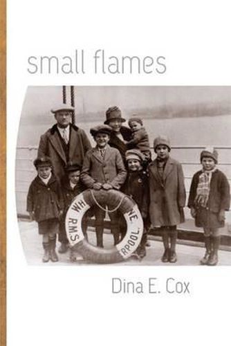 Cover image for Small Flames