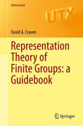 Cover image for Representation Theory of Finite Groups: a Guidebook