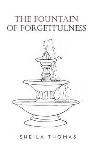 Cover image for The Fountain of Forgetfulness