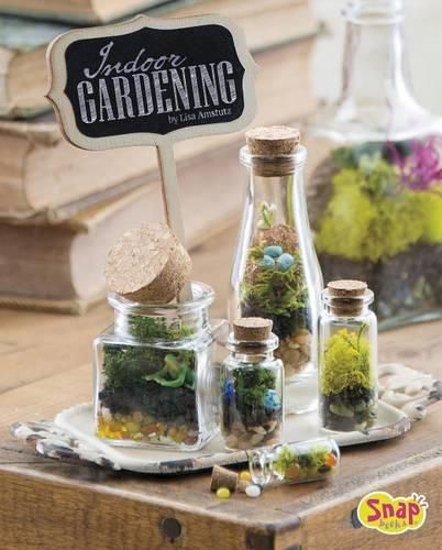 Cover image for Indoor Gardening: Growing Air Plants, Terrariums, and More
