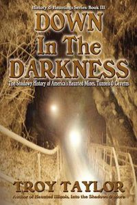 Cover image for Down in the Darkness