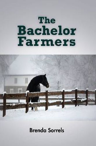 Cover image for The Bachelor Farmers