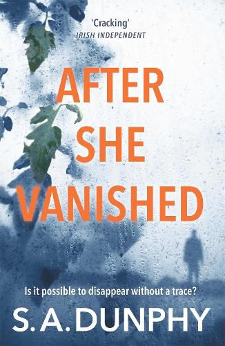 Cover image for After She Vanished