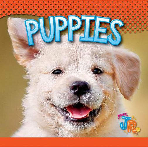 Cover image for Puppies