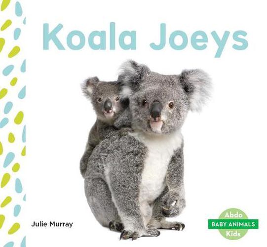 Cover image for Koala Joeys