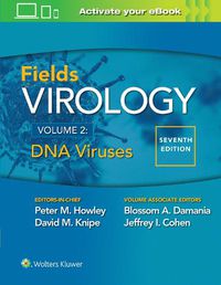 Cover image for Fields Virology: DNA Viruses