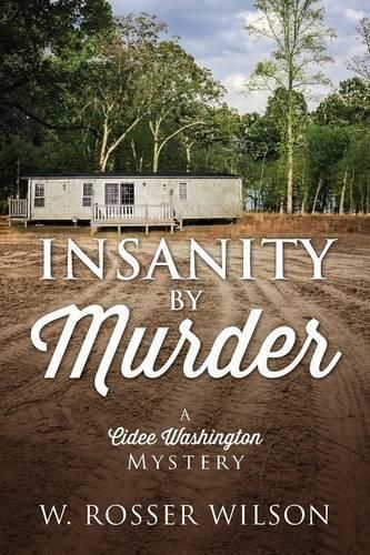 Cover image for Insanity By Murder: A Cidee Washington Mystery