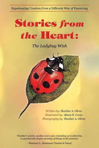 Cover image for Stories from the Heart: The Ladybug Wish: Experiencing Creation from a Different Way of Perceiving