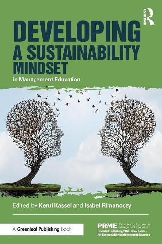 Cover image for Developing a Sustainability Mindset in Management Education