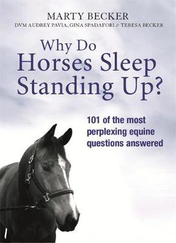 Cover image for Why Do Horses Sleep Standing Up?