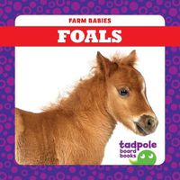 Cover image for Foals