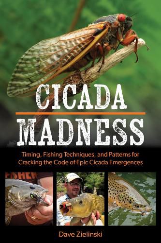 Cover image for Cicada Madness