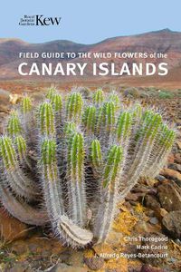 Cover image for Field Guide to the Wild Flowers of the Canary Islands