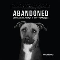 Cover image for Abandoned