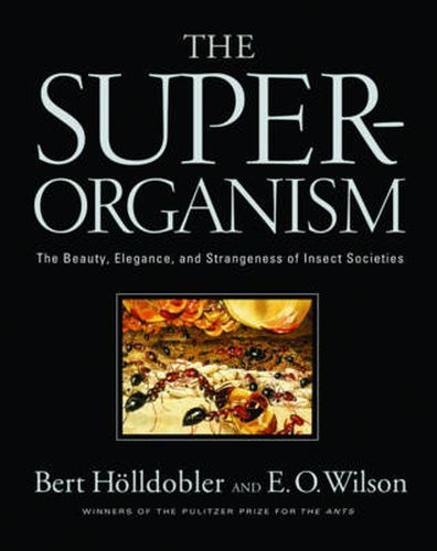 The Super-organism: The Beauty, Elegance, and Strangeness of Insect Societies