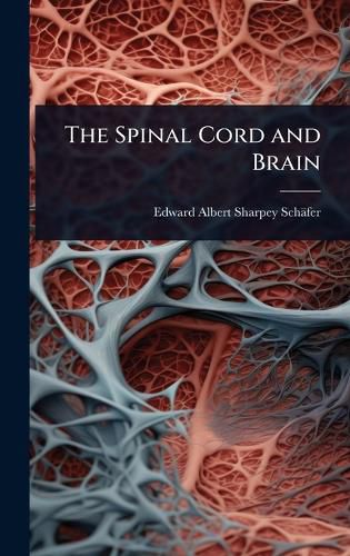 Cover image for The Spinal Cord and Brain