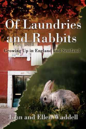 Cover image for Of Laundries and Rabbits