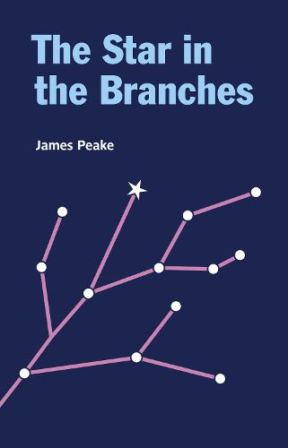 Cover image for The Star in the Branches