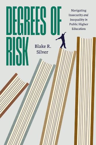 Cover image for Degrees of Risk
