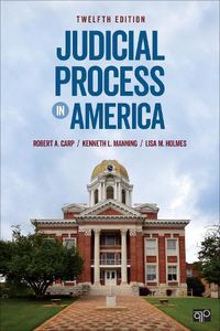 Cover image for Judicial Process in America