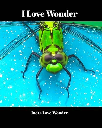 Cover image for I Love Wonder