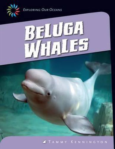 Cover image for Beluga Whales