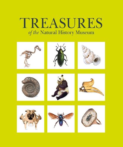 Cover image for Treasures of the Natural History Museum