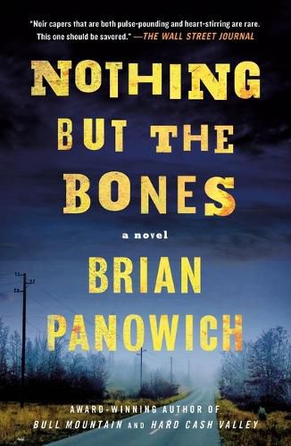 Cover image for Nothing But the Bones