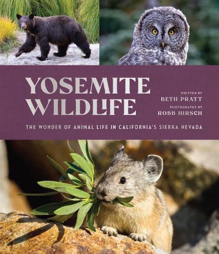 Cover image for Yosemite Wildlife