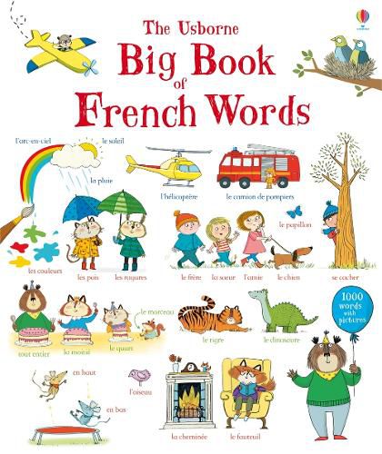 Cover image for Big Book of French Words