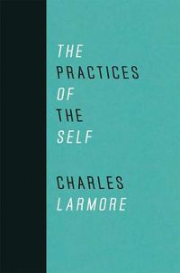Cover image for The Practices of the Self