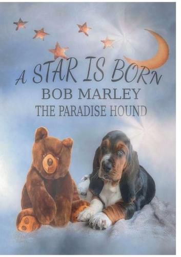 Cover image for A Star is born - Bob Marley the Paradise Hound