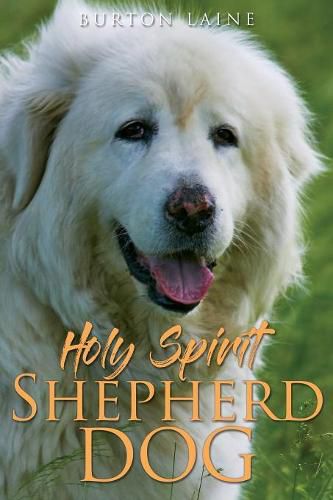 Cover image for Holy Spirit Shepherd Dog