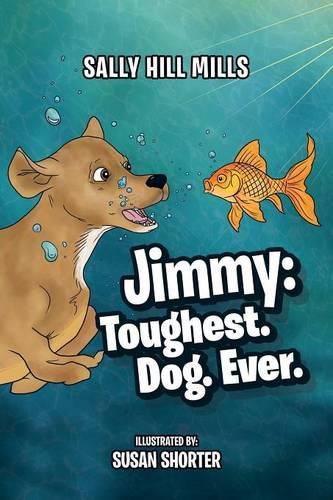 Cover image for Jimmy