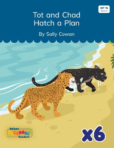 Cover image for Tot and Chad Hatch a Plan x 6 (Set 16, Book 4)