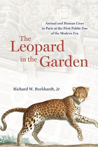 Cover image for The Leopard in the Garden