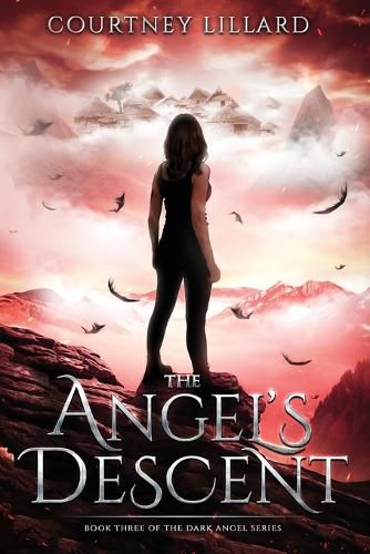 Cover image for The Angel's Deception