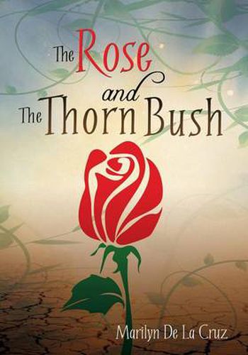 Cover image for The Rose and the Thorn Bush