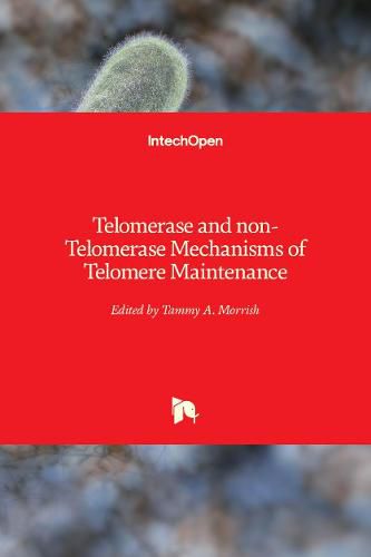 Cover image for Telomerase and non-Telomerase Mechanisms of Telomere Maintenance