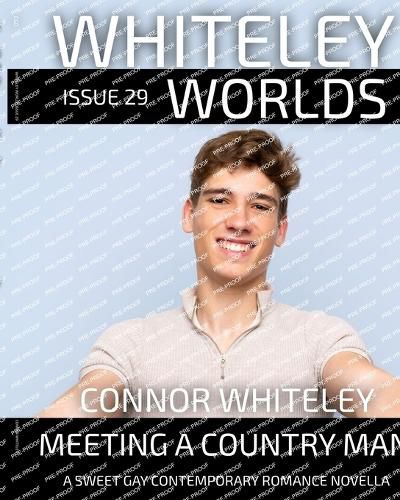 Cover image for Issue 29