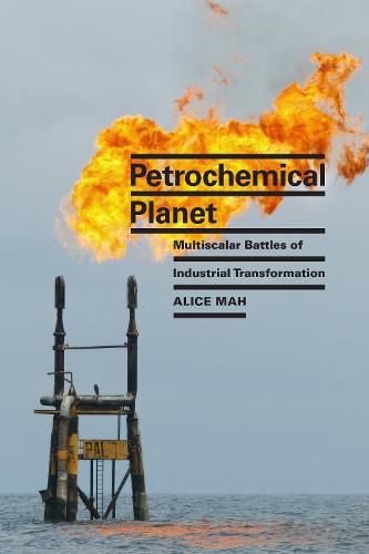 Cover image for Petrochemical Planet