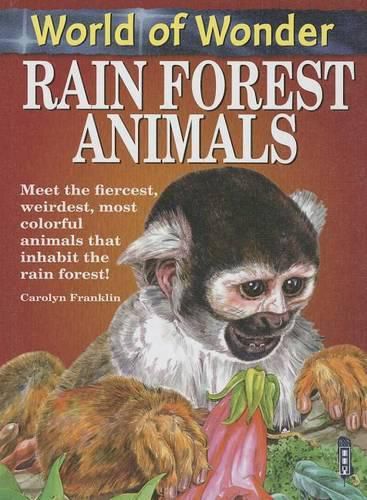 Cover image for Rain Forest Animals