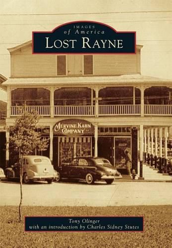 Cover image for Lost Rayne