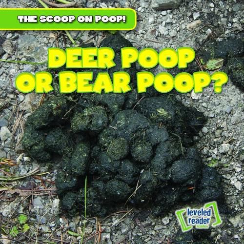 Deer Poop or Bear Poop?